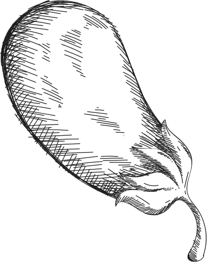 eggplant.png